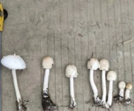 安徽省疾控中心发布重要提醒，严重者可出现脱水症状